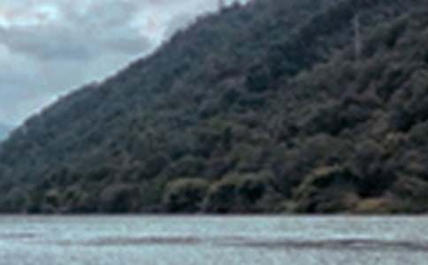 �茑��Ȼ��ɫ������