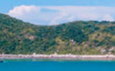 ����Ȼ�ľ�ɫ����