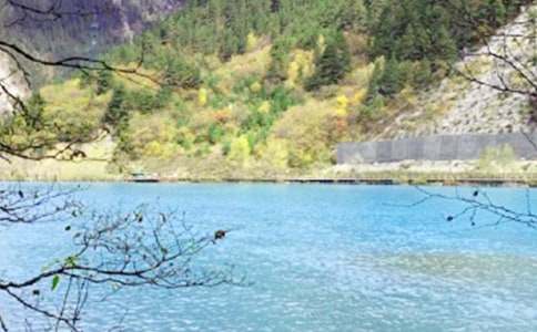 �P(gu��n)�ھ�կ�ό�(d��o)���~���\15ƪ