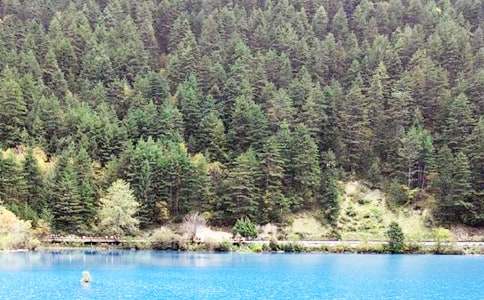 �Ĵ���կ�ό�(d��o)���~(���\15ƪ)