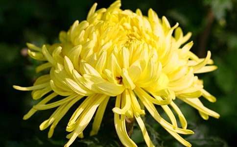 �r�յĻ��Z��ʲô��������˼,�r�ջ��Z��ʲô��