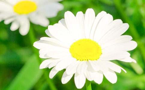 ��ɫ�r�ջ����Z��ʲô