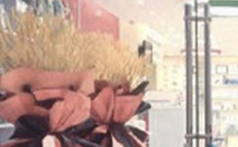 �����_�I(y��)���N��ӷ���