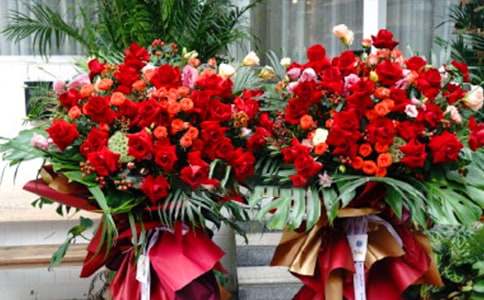 �µ��_������Ո(q��ng)��