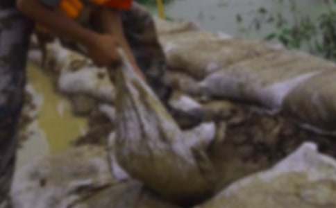 ����Ȟ�(z��i)��(bi��o)�Z(y��)�����x220�䣩