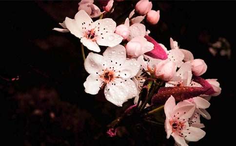 �滨�Ļ��Z(y��)