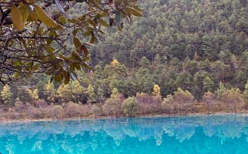 ���������~(����15ƪ)