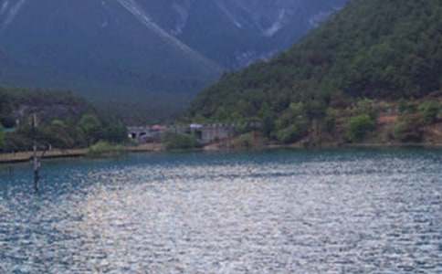 �����Č�(d��o)���~15ƪ