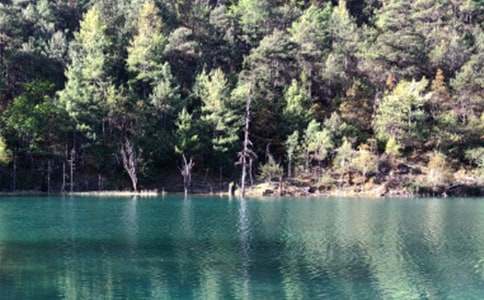 ����������(d��o)���~�����x25ƪ��