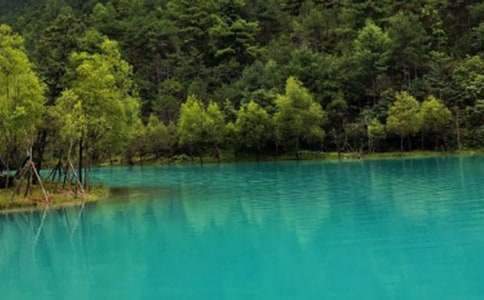 �P(gu��n)�����������ųǵČ�(d��o)���~