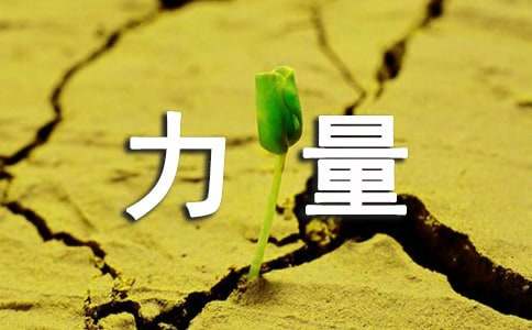 ��ӵ������ĵ��w��