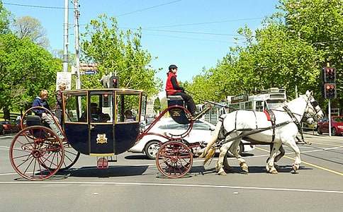 �P(gu��n)���R܇����Ӣ��