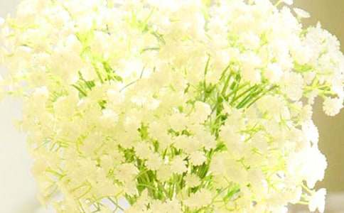 �M���ǵĻ��Z(y��)��ʲô