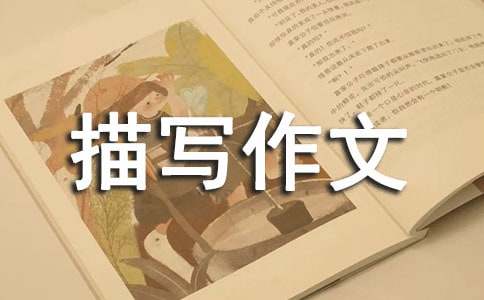 �P(gu��n)��С�u�茑���ąR��ʮƪ