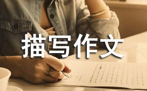 ��(sh��)�õ�С�u�茑����7ƪ