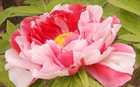 ĵ������(d��o)���~14ƪ