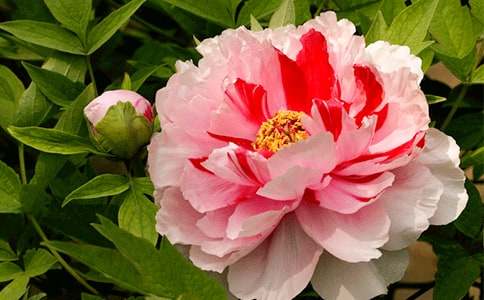 �~ĵ�����Z(y��)