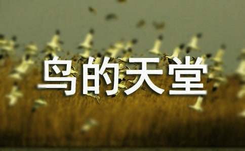 �����T���B�����Ì�(d��o)���~