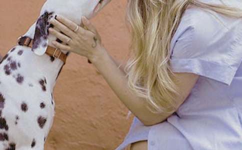 Ů�����Y�x