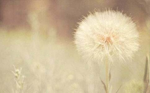 �ѹ�Ӣ���Z