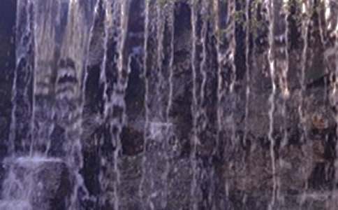 �P(gu��n)���F���S�����ٲ��Č�(d��o)���~