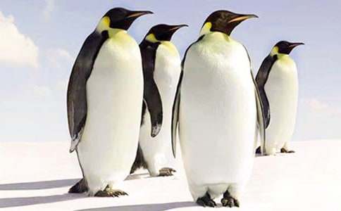 ��С���Z���̰�