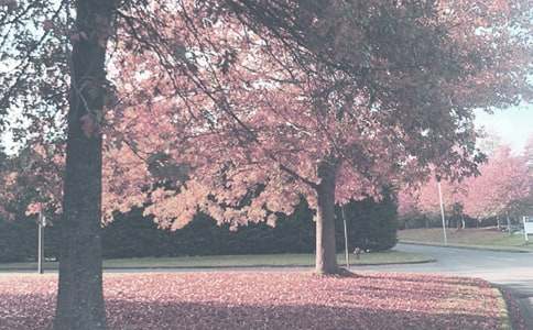 �＾��Ȼ����