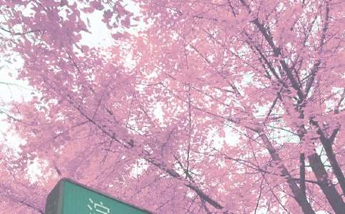 �����T�＾����Ӌ��