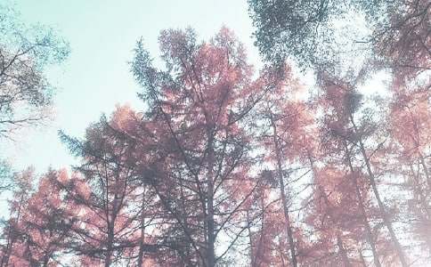 ����＾����Ӌ(j��)����ͨ��17ƪ��