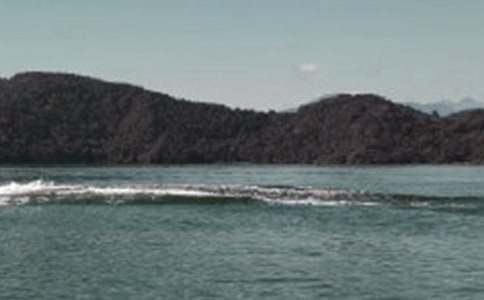 ����̶�Č�(d��o)���~15ƪ