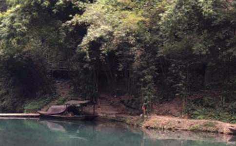 �L(zh��ng)�����{�Č�(d��o)���~15ƪ