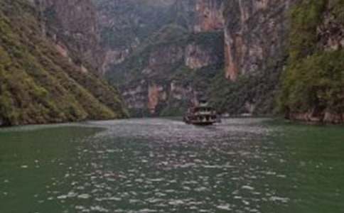 �L�����{�Č����~(�R��15ƪ)