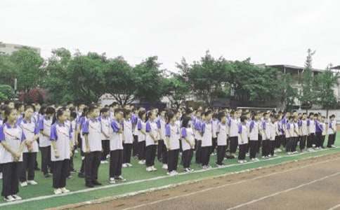 [��(y��u)��]С�W��һ�W��ɢ�W��Y����