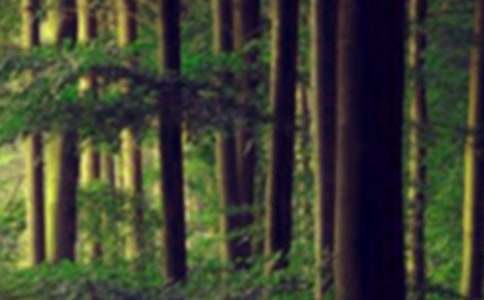 ɭ�ַ����������(ji��n)��(b��o)��ȫ8ƪ