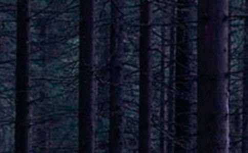 �v�R��ɭ�ֹ��@��(d��o)���~