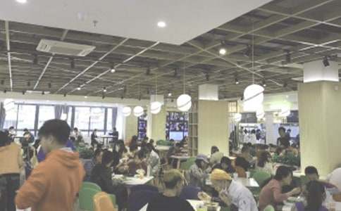 ʳ�����v��