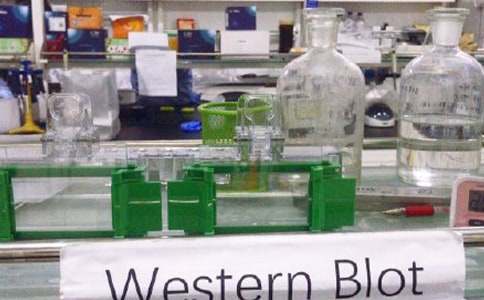 ���팍(sh��)�(y��n)�ҹ���Ӌ(j��)��