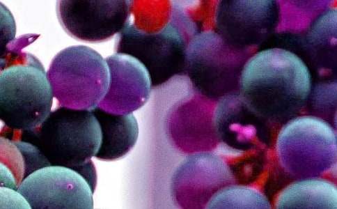 �uˮ���V���Z