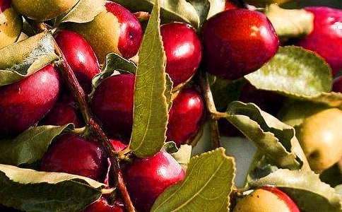 ˮ��ƴ�P��ِ�߄���ˮ��ƴ�P��(chu��ng)���ِ