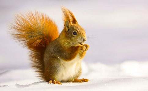 �����󡷵ă�(y��u)��̰�