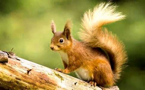 �_(d��)���ĺ�С����ă�(y��u)��̰�