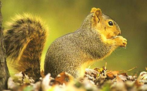 �����󡷽̰��O(sh��)Ӌ(j��)����