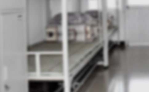 �����������v��