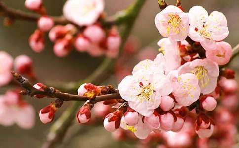 ���һ��Ļ��Z(y��)��ʲô���x