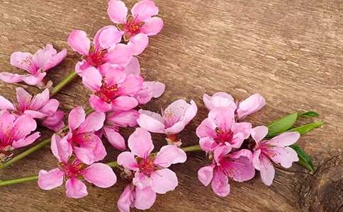 �һ��u�Č�(d��o)���~12ƪ