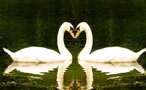 �����Z�Ĺ��¡��̰��ϼ�10ƪ