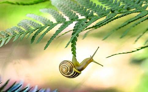 ΁ţ�Ī�(ji��ng)��С�W(xu��)�m(x��)�����ģ�ͨ��23ƪ��