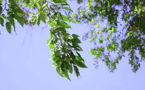 ����ů���簲ף���Z��ͨ��40�䣩