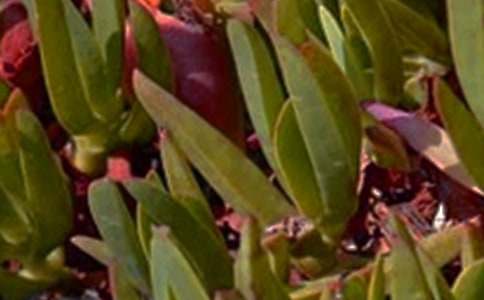 ��(j��ng)��ů���簲ף���Z��ȫ�����x80�䣩