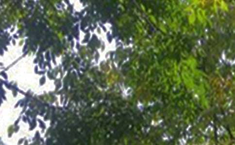 ����ů���簲ף���Z��ȫ��ͨ��80�䣩